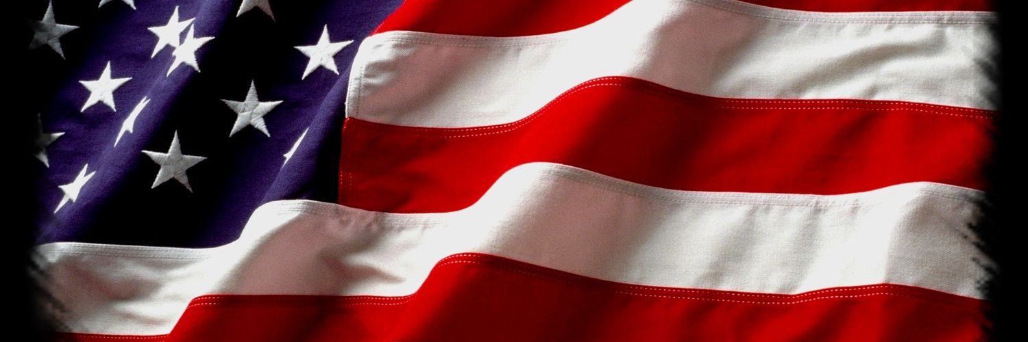 🇺🇸David🇺🇸 banner