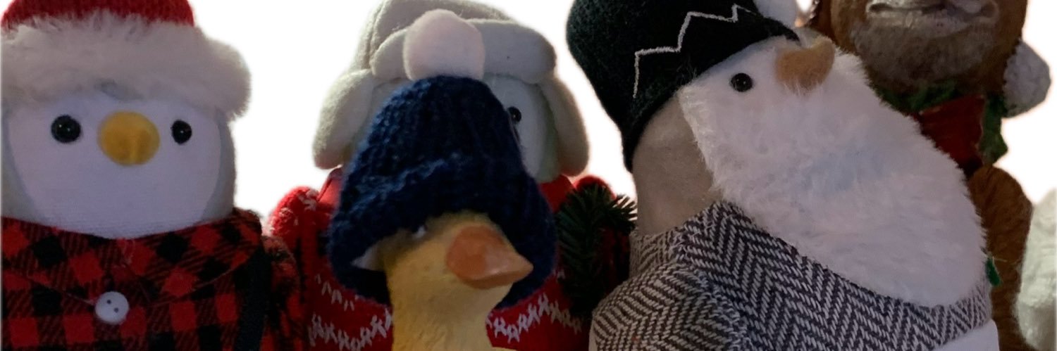 dashboardirvin's profile banner image