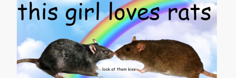 qt4satan's profile banner image
