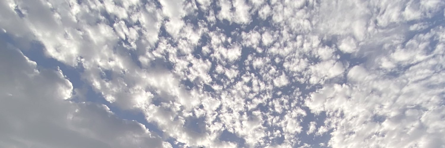 lexcruzz's profile banner image