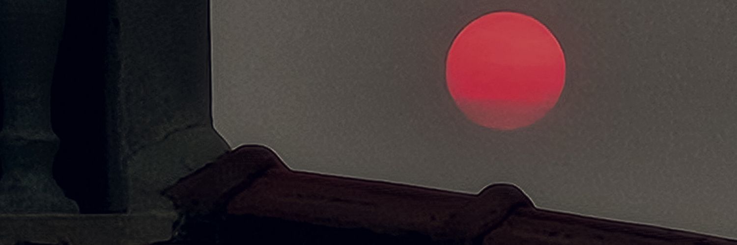 Du1dul's profile banner image