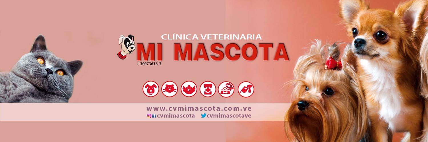 cvmimascotaco's profile banner image