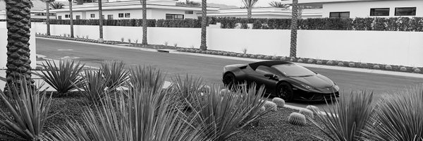 scaleosis Profile Banner