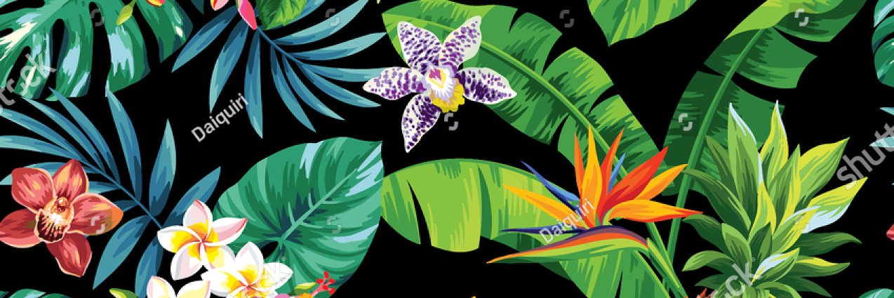 sujitzugare2's profile banner image