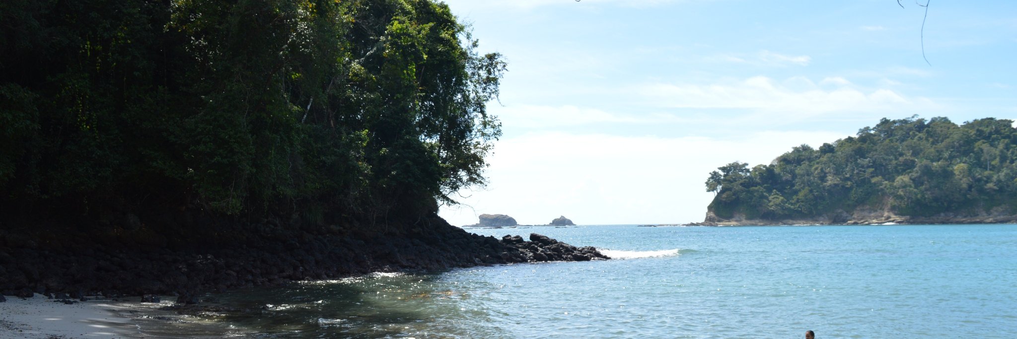 CamiAlexandre's profile banner image