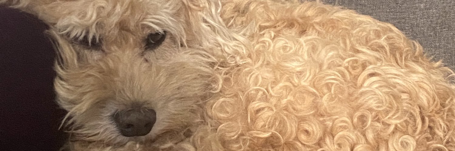 timmy 🪩CONFESSIONS II🪩 banner