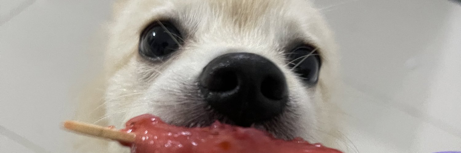 sofiamoramacias's profile banner image