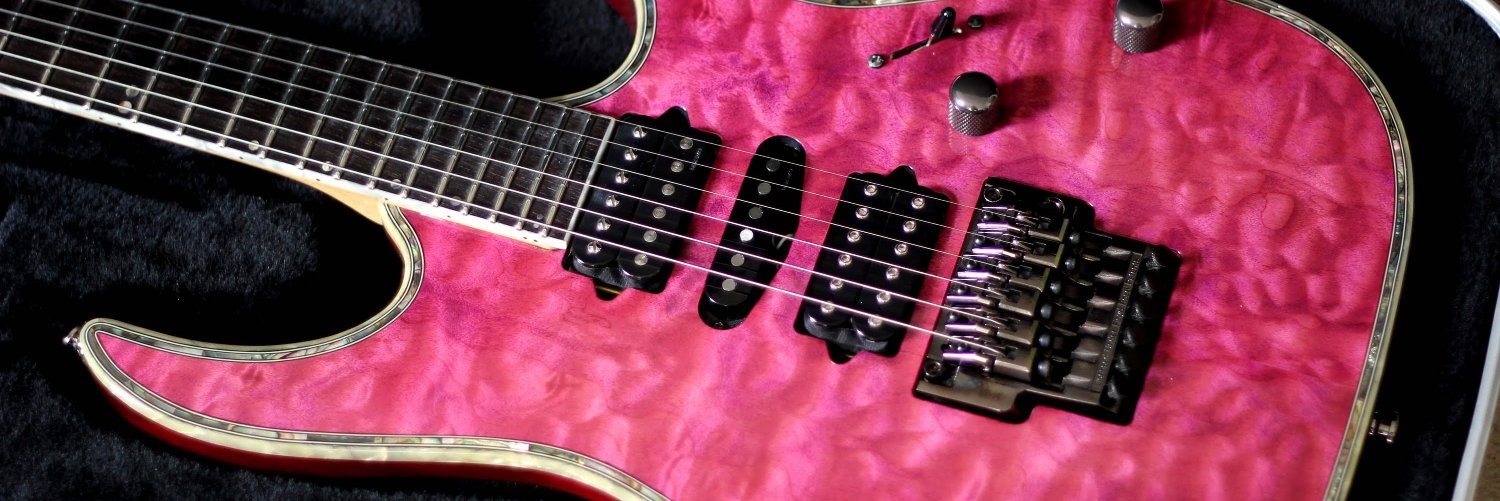 Terri Mehlhorn banner