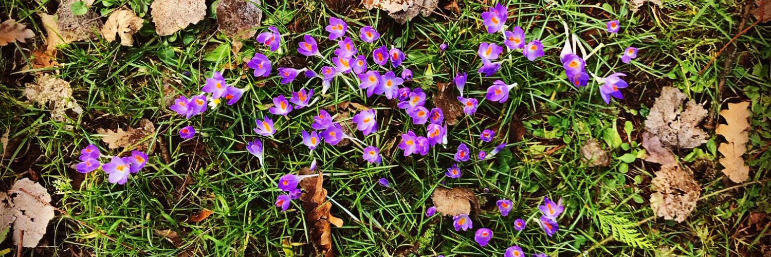 Miren Mohrenweiser banner