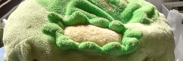 Yos_ei3 Profile Banner