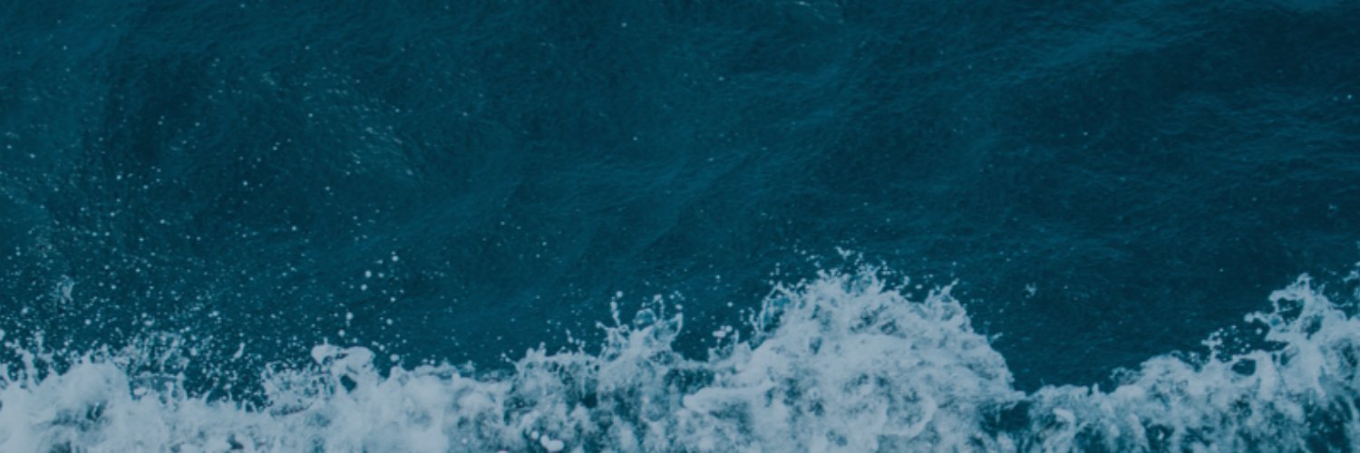 ChillyHippo's profile banner image