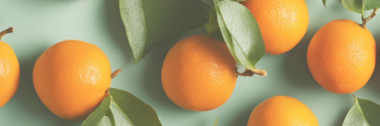 yayoi🍊｜世界観整え屋🧑🏻‍🌾 banner