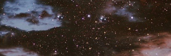 KristieReisig's profile banner image