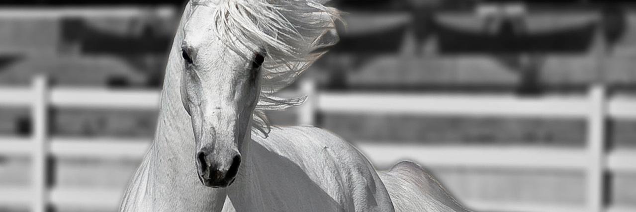 Hhaskylu's profile banner image