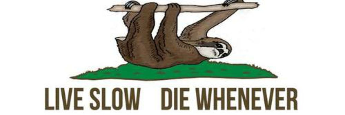 Johnny 🏴‍☠️ (Skilled Agent Arc) banner