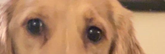 IsTotallyRad's profile banner image