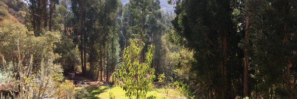 jorgeab1967 Profile Banner