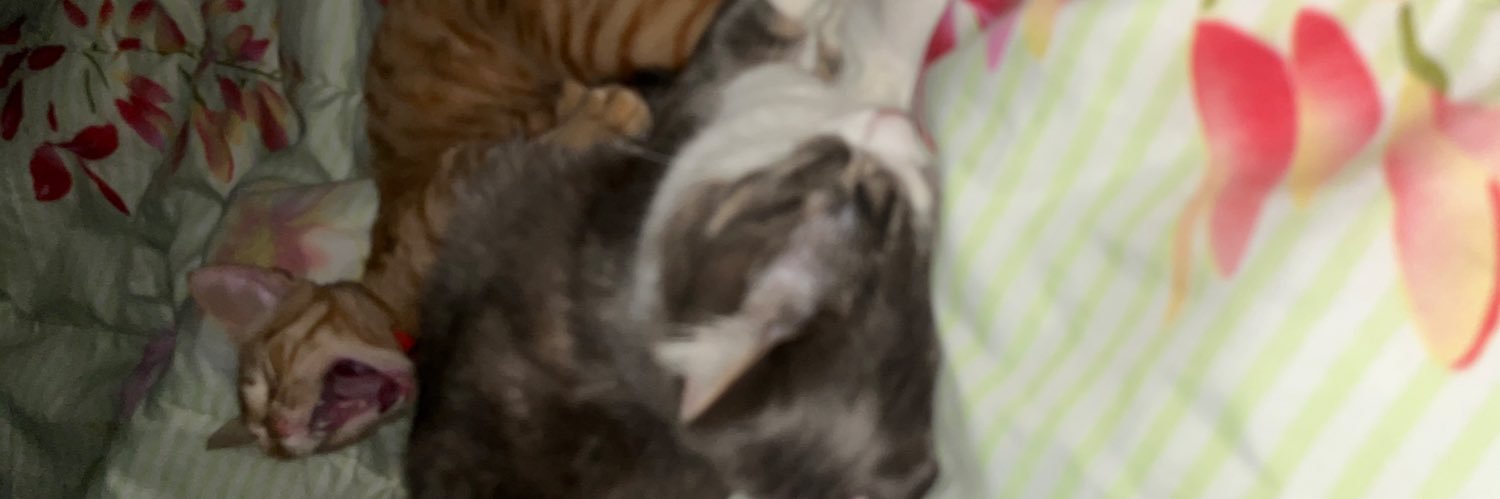 stephanyMIB's profile banner image