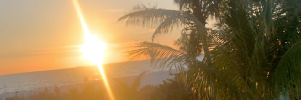 maddi_strickler's profile banner image