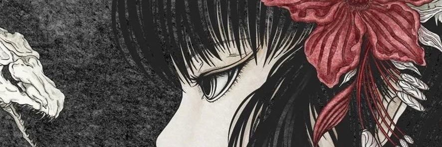 Vidoriga's profile banner image