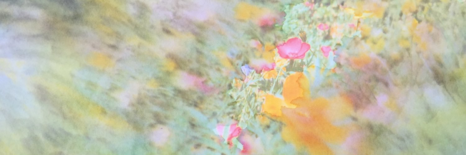 nicodreher's profile banner image