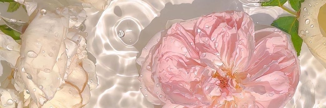 SugarCuack's profile banner image