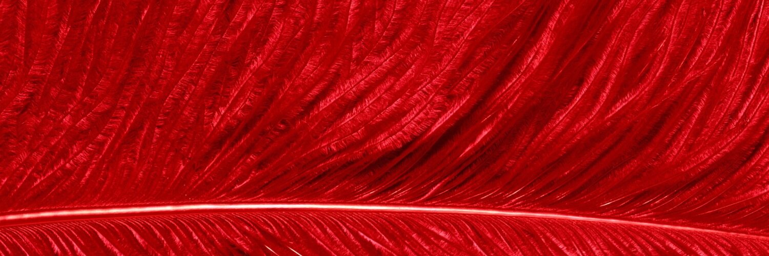 heatherlpace2's profile banner image