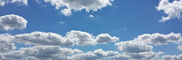 Lynnannehuck Profile Banner