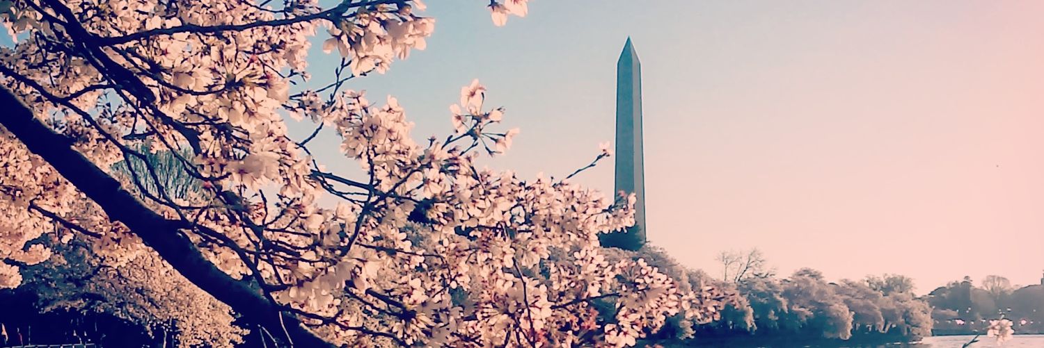 tova_s's profile banner image