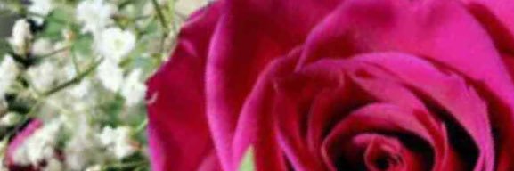 Mmesfer0777's profile banner image