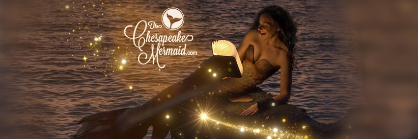 chessiemermaid's profile banner image