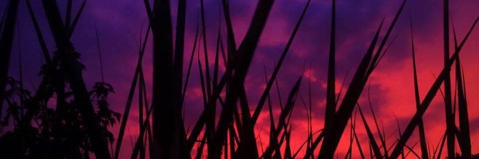 K8tosPhotograph's profile banner image