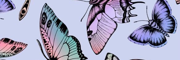 DelfinaLopez_'s profile banner image