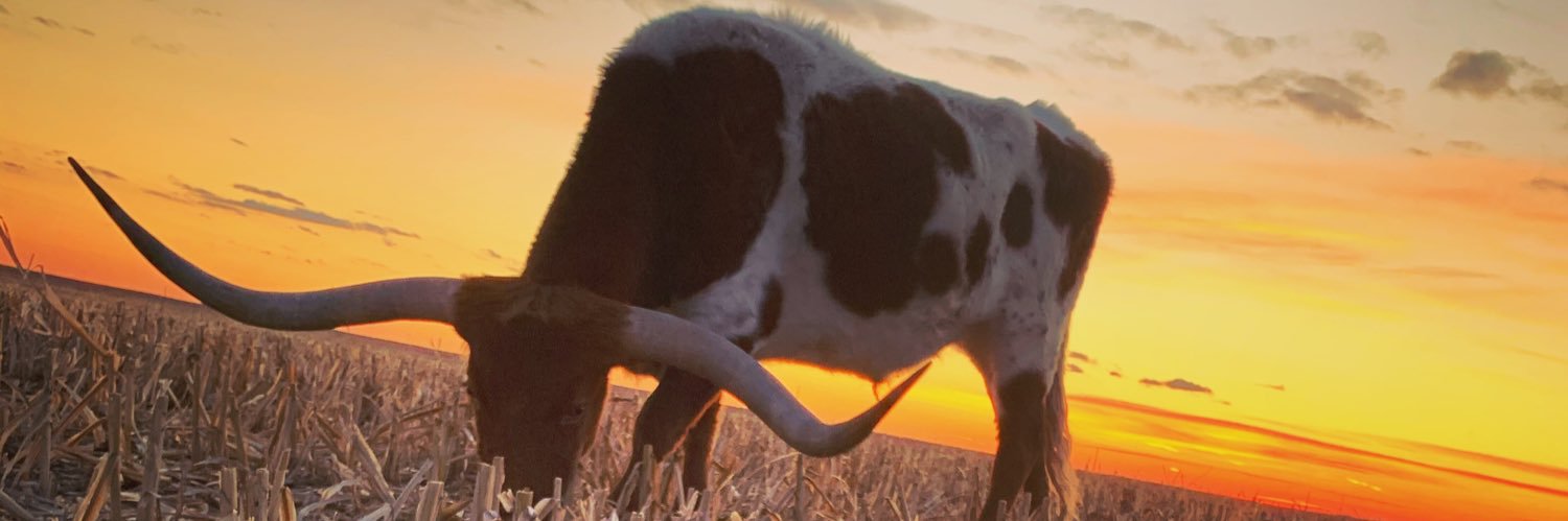 MarkertBrandon's profile banner image