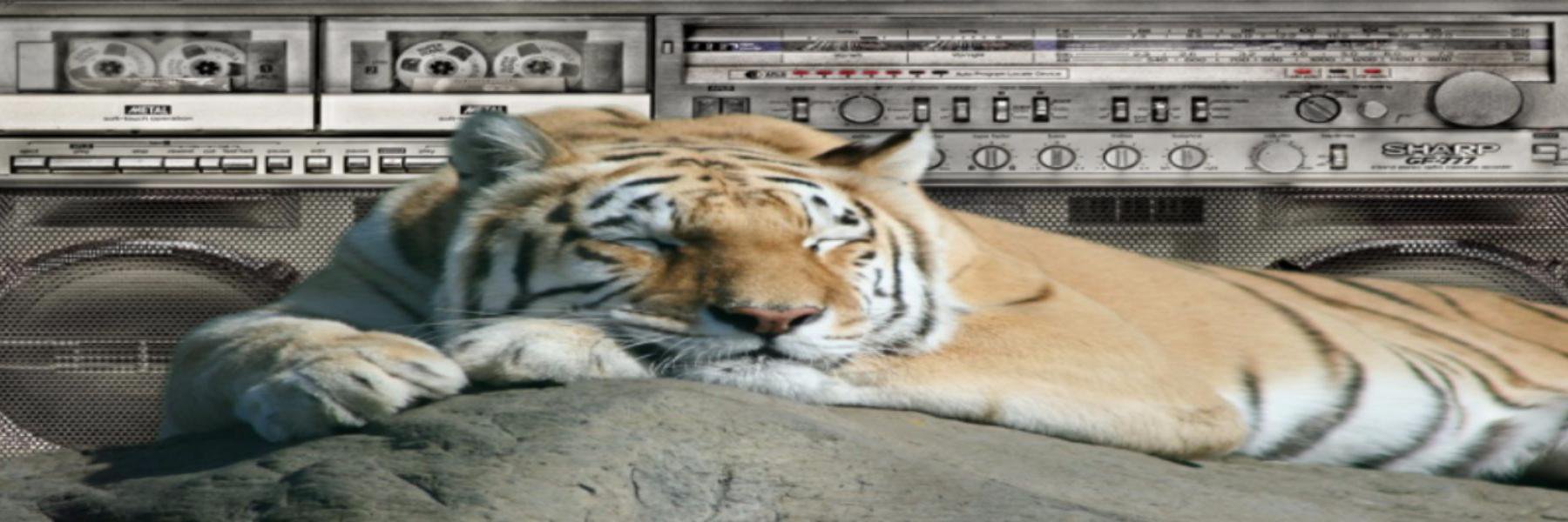 XRAYiPerson's profile banner image