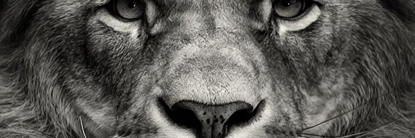 Truthh4 Profile Banner