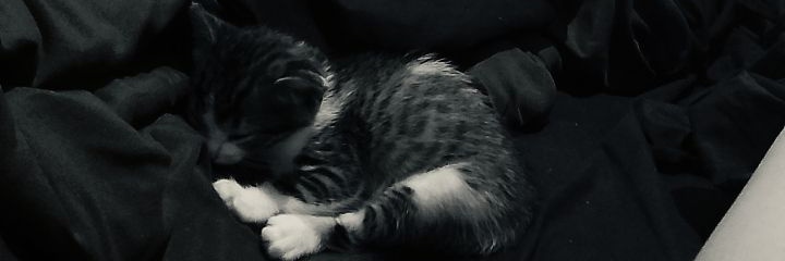 valeentinapardo's profile banner image