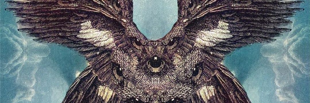 Marcvicmar Icas banner