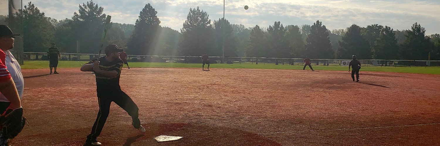 National Softball Association - NSA banner