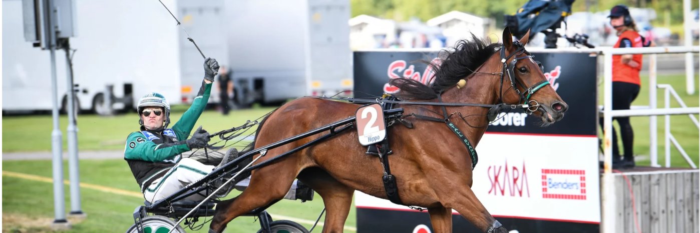 Thyself Stable banner