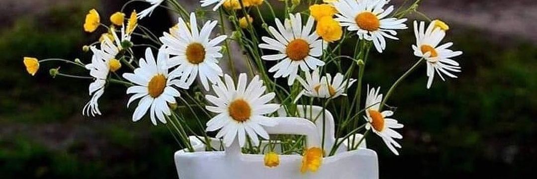 رسائل مُطَمْئنة🕊 banner