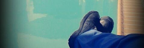 amadeusmonroy's profile banner image
