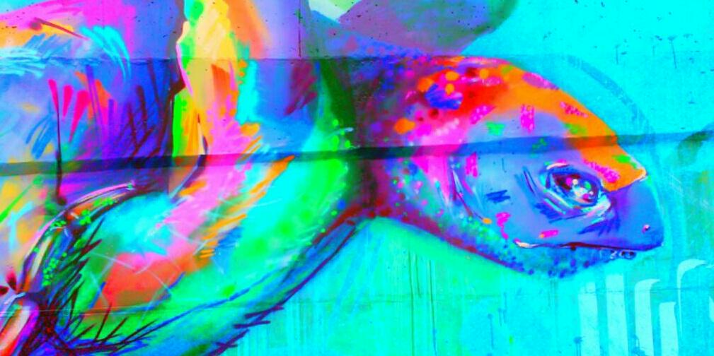 fherangel's profile banner image