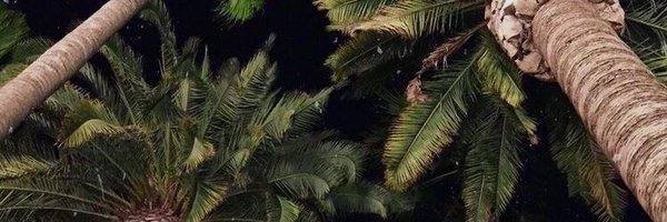 mararatss Profile Banner