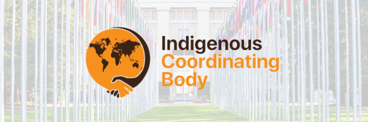 Indigenous Peoples at the UN 🇺🇳 banner