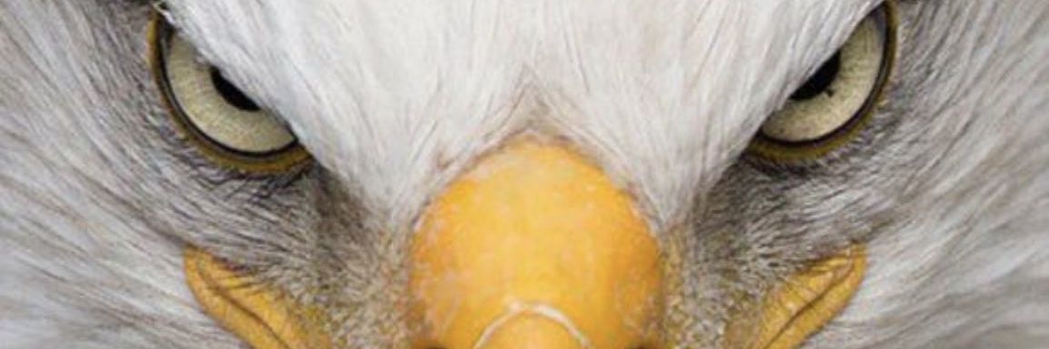 BSGTVMN1's profile banner image