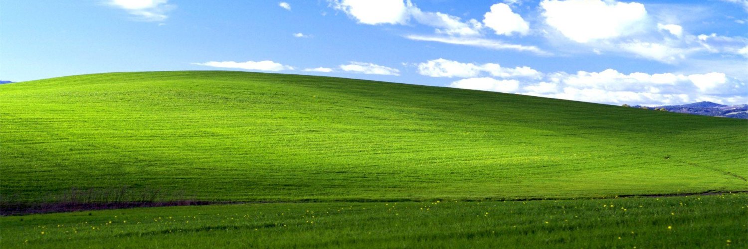 Dominik banner