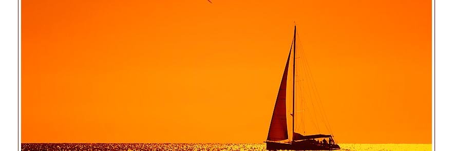 Marikka8's profile banner image