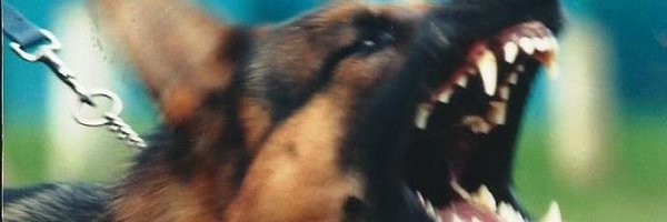 highspeed_dbs Profile Banner