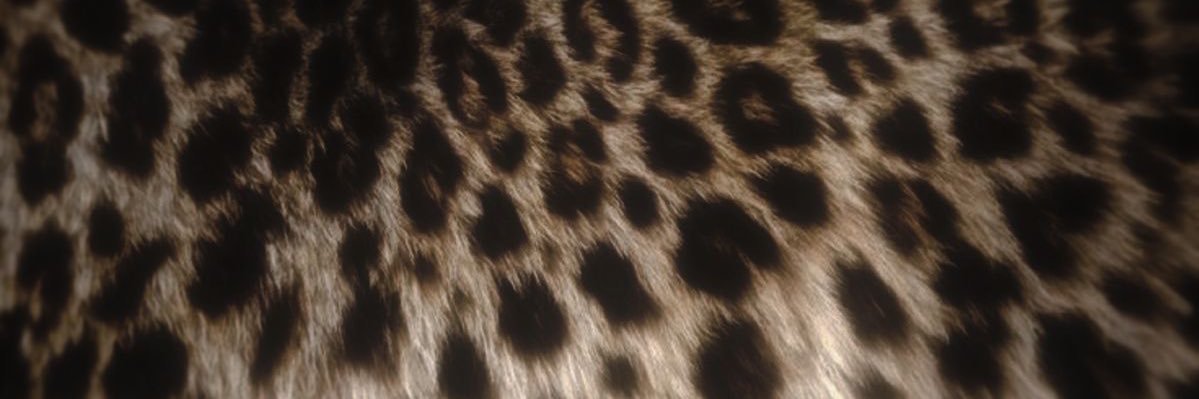 cuntyalexa's profile banner image